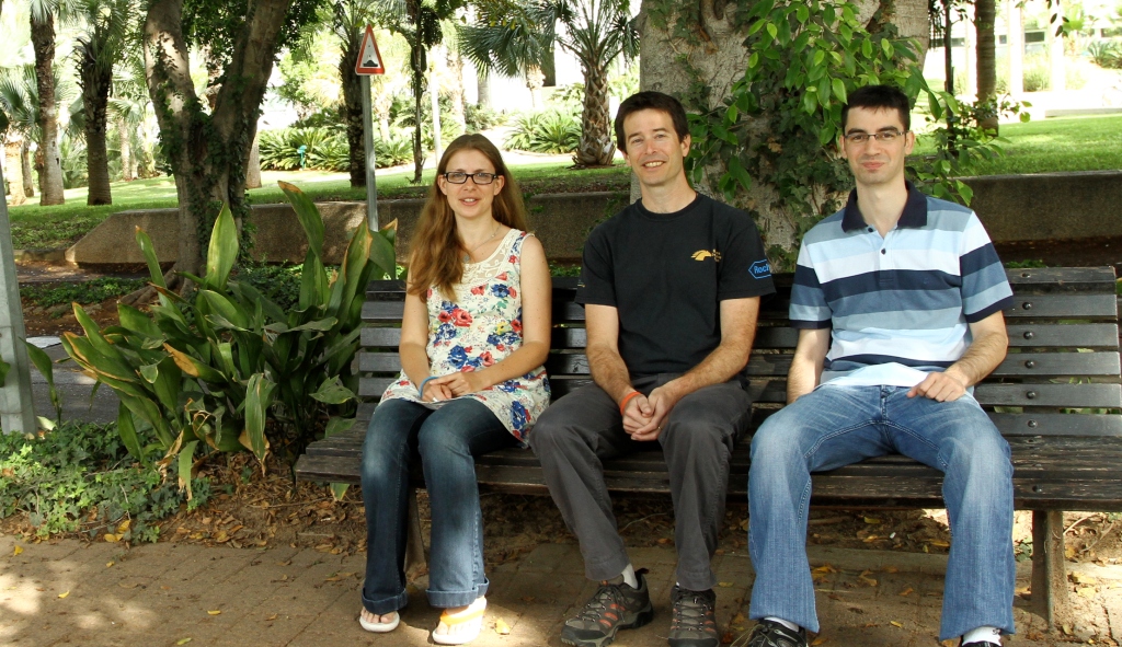 Sorek and group